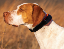 Garmin Alpha® LTE - Dog Tracker